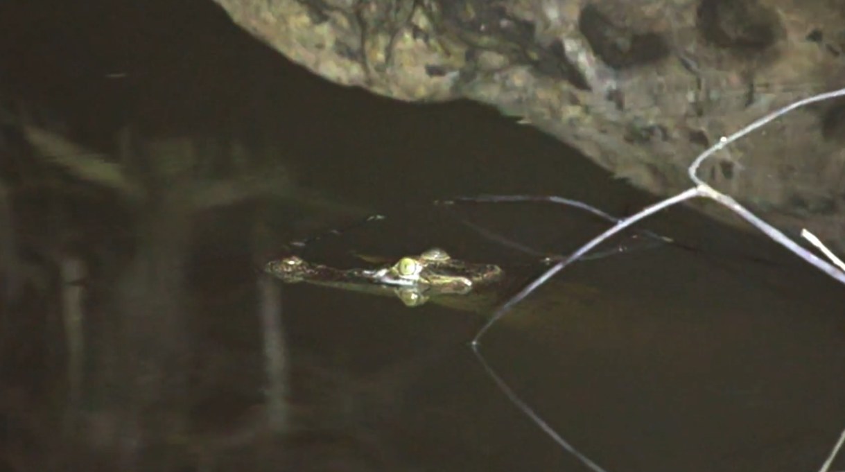 Still from A Tale of the Stolen River